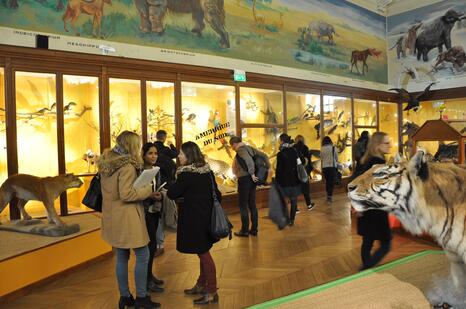 Visite du Museum de Marseille, Séminaire des élèves conservateurs de la promo Hugo Pratt (2019) - Photo : INP / Patrick Dumeix Visite du Museum de Marseille, Séminaire des élèves conservateurs de la promo Hugo Pratt (2019) - Photo : INP / Patrick Dumeix