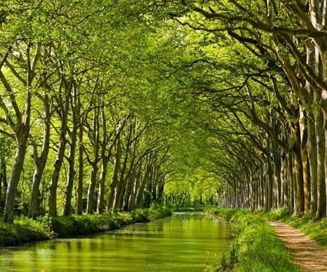 Vue du canal du Midi - Photo : DR Vue du canal du Midi - Photo : DR