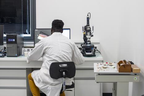 Le laboratoire - Photo : Chloé Bernard / INP