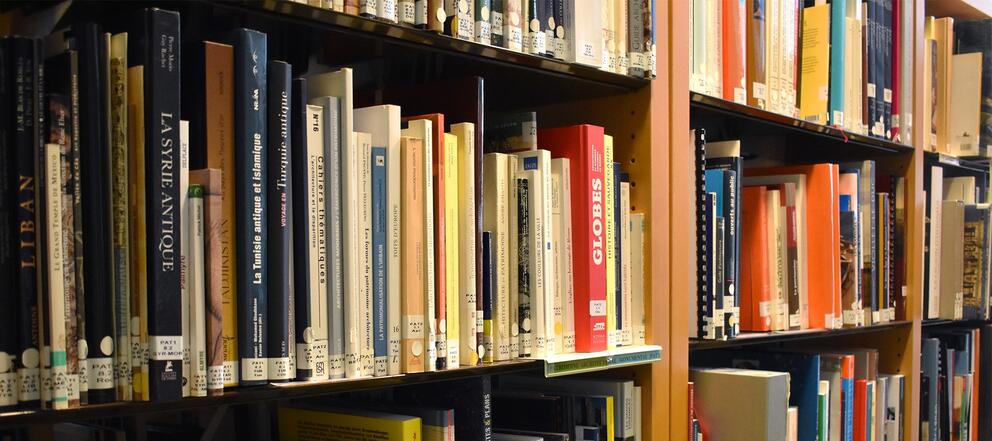Les rayonnages du CRD  - Photo : Andréa Pastor / INP