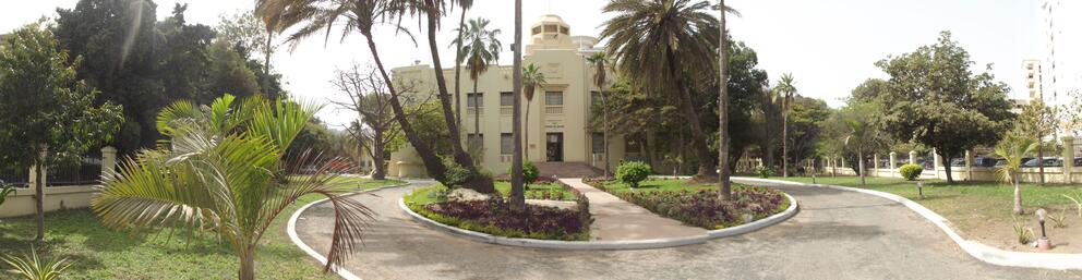 Musée Théodore Monod, Sénégal - Photo : DR Musée Théodore Monod, Sénégal - Photo : DR