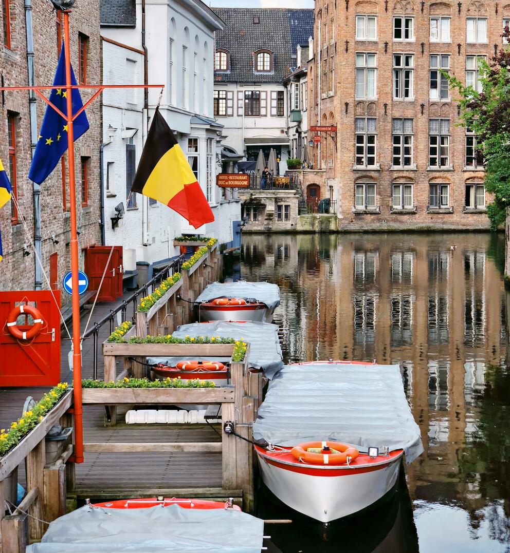 Belgique-stage international