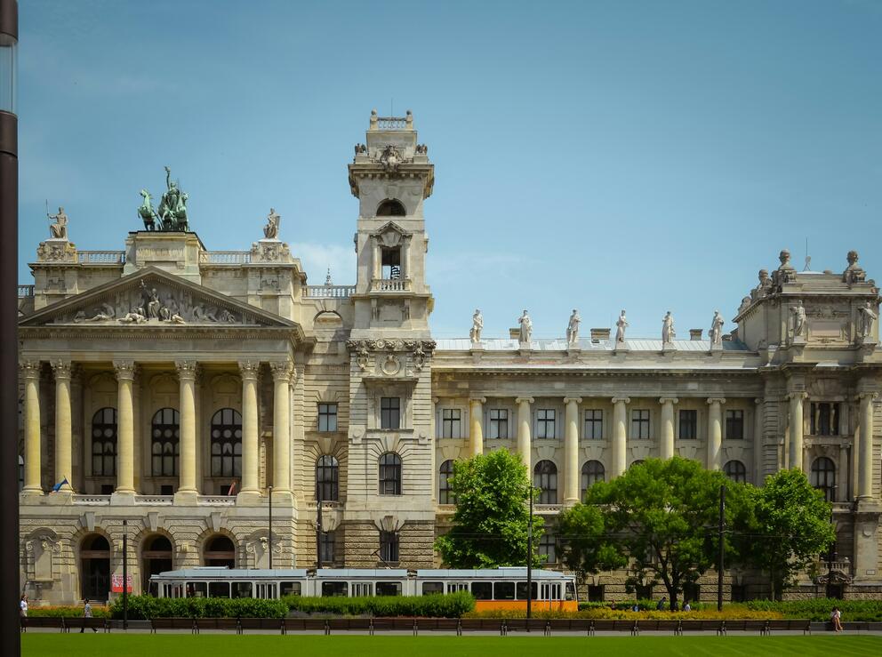 Hongrie-stage international